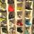 We love Sneaker